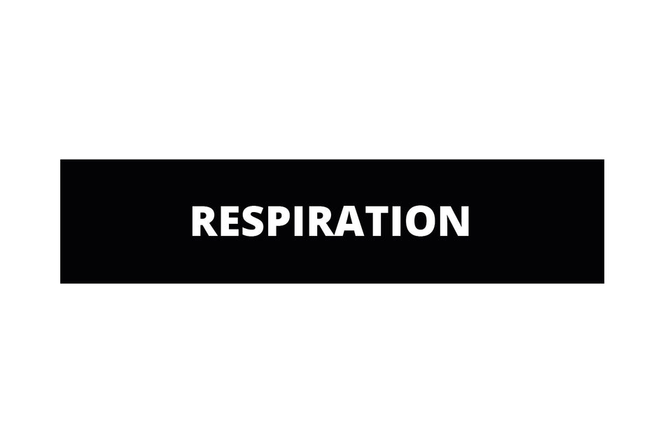 Respiration patch